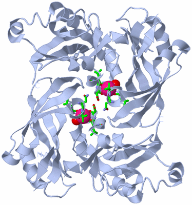 Image Biol. Unit 1 - sites