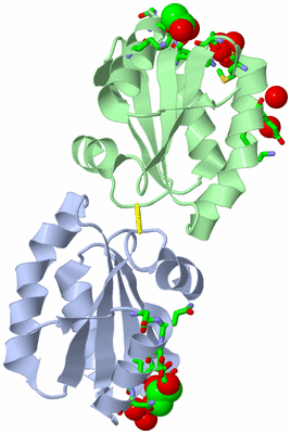 Image Asym./Biol. Unit - sites