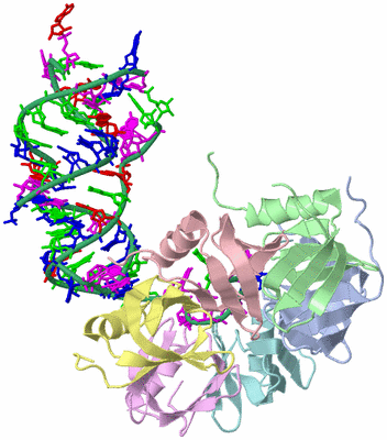 Image Biological Unit 1