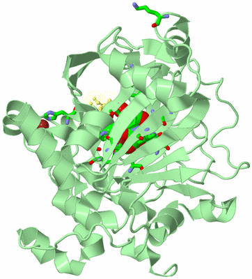 Image Biol. Unit 1 - sites