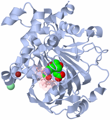 Image Biological Unit 2