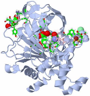 Image Biol. Unit 1 - sites