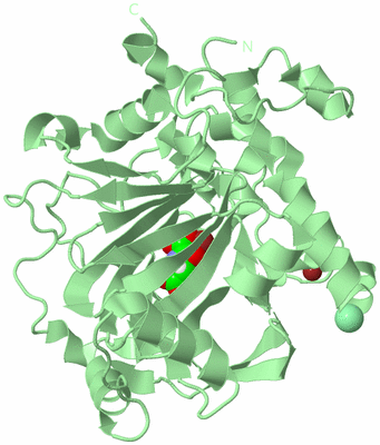 Image Biological Unit 2