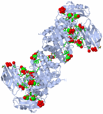 Image Biol. Unit 1 - sites