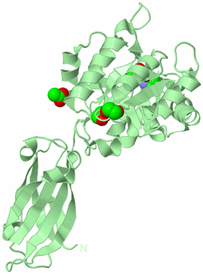 Image Biological Unit 2