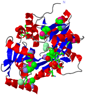 Image Asym./Biol. Unit - sites