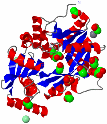 Image Asym./Biol. Unit