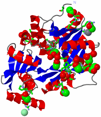 Image Asym./Biol. Unit - sites