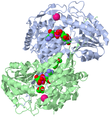 Image Biological Unit 1