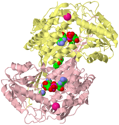 Image Biological Unit 2