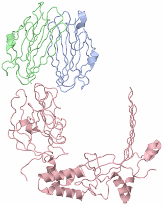 Image Biological Unit 1