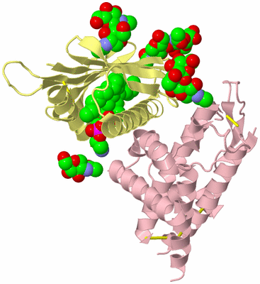 Image Biological Unit 1