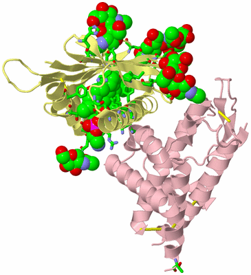 Image Biol. Unit 1 - sites