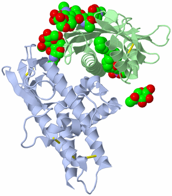 Image Biological Unit 2