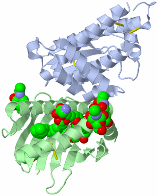 Image Asym./Biol. Unit