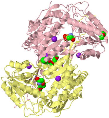 Image Biological Unit 2