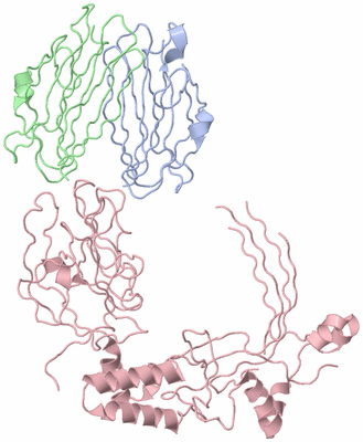 Image Biological Unit 1