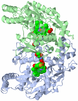 Image Asym./Biol. Unit