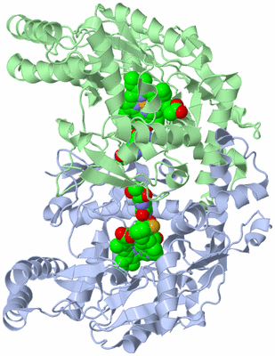 Image Asym./Biol. Unit