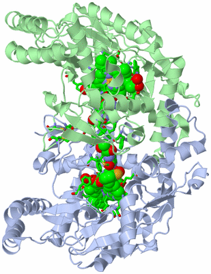 Image Asym./Biol. Unit - sites