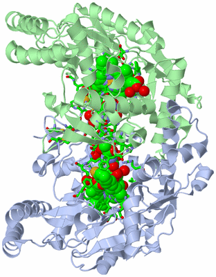 Image Asym./Biol. Unit - sites