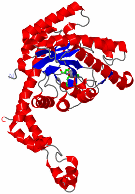 Image Asym. Unit - sites