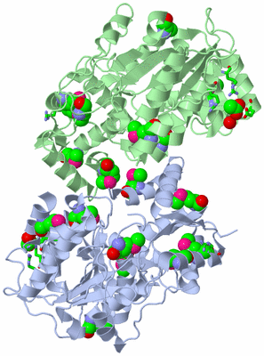 Image Asym./Biol. Unit - sites