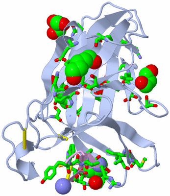 Image Biol. Unit 1 - sites