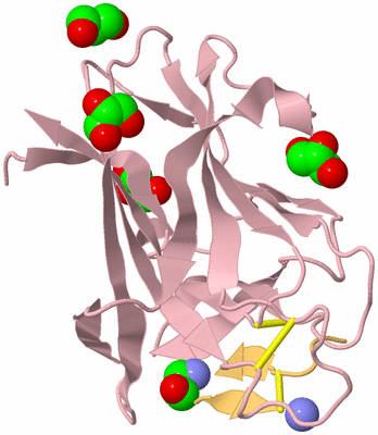 Image Biological Unit 3