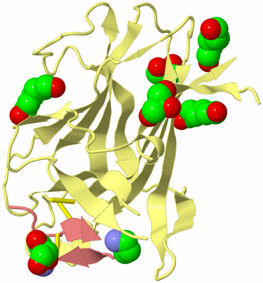 Image Biological Unit 4