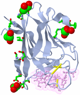 Image Biol. Unit 1 - sites