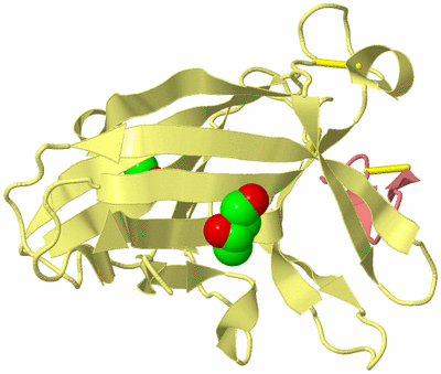 Image Biological Unit 4