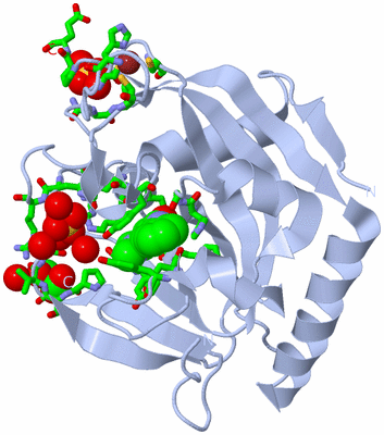 Image Biol. Unit 1 - sites