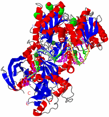 Image Asym./Biol. Unit