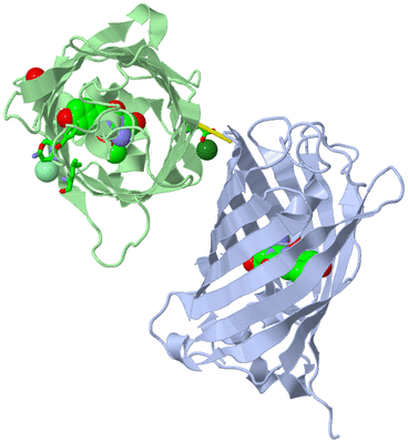 Image Asym./Biol. Unit - sites