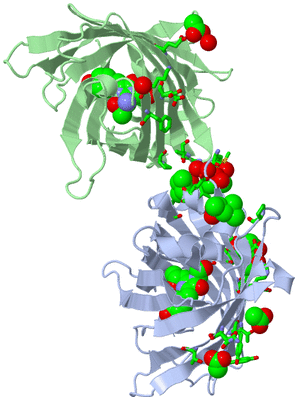 Image Asym./Biol. Unit - sites