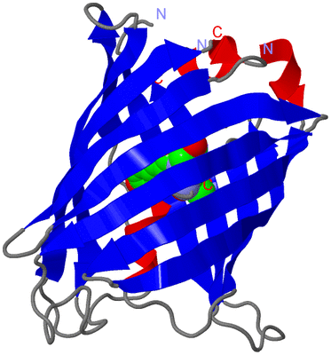 Image Asymmetric Unit