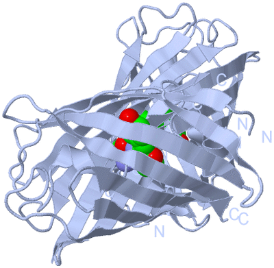 Image Biological Unit 1