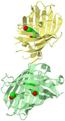 Image Biological Unit 2