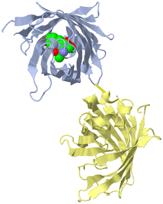 Image Biological Unit 1