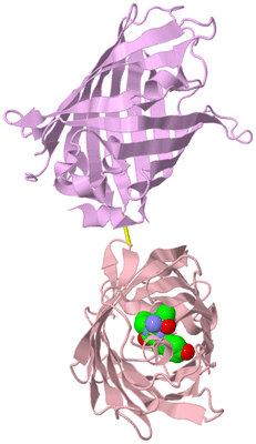 Image Biological Unit 3