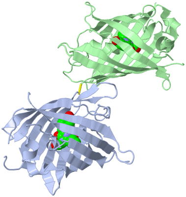 Image Biological Unit 1