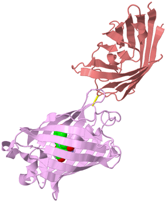 Image Biological Unit 3