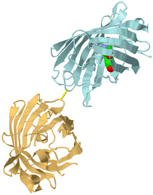 Image Biological Unit 4