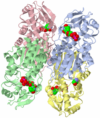 Image Asym./Biol. Unit