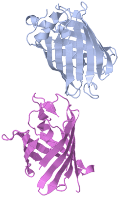 Image Biological Unit 1