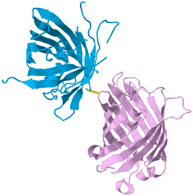 Image Biological Unit 4