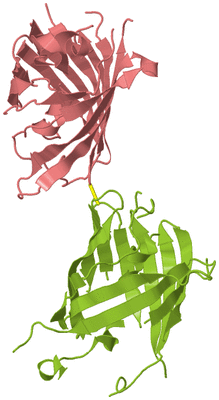 Image Biological Unit 7