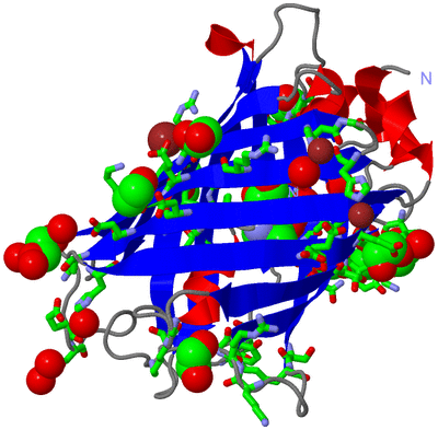 Image Asym./Biol. Unit - sites