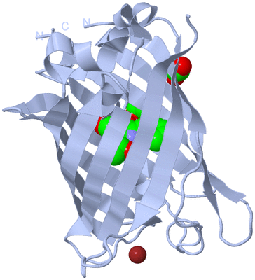 Image Biological Unit 1